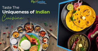 Taste the Uniqueness of Indian Cuisine
