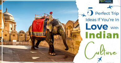 5 Perfect Trip Ideas If You’re In Love With Indian Culture