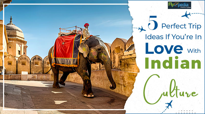 5 Perfect Trip Ideas If You’re In Love With Indian Culture