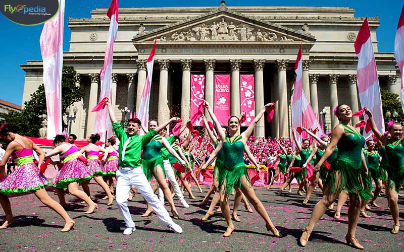 Cherry Blossom Festival 7