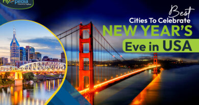 Best Cities To Celebrate New Year’s Eve in USA
