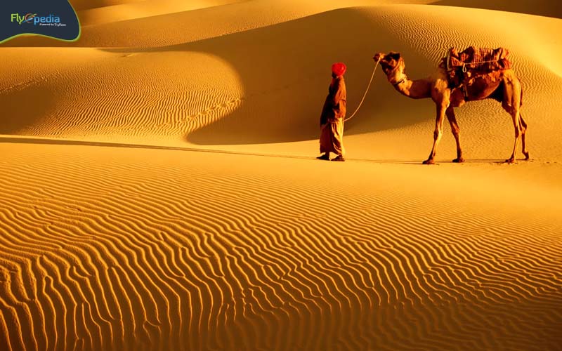 Thar Desert