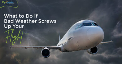 What to Do If Bad Weather Screws Up Your Flight