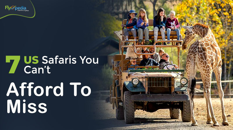 7 US Safaris You Can’t Afford To Miss