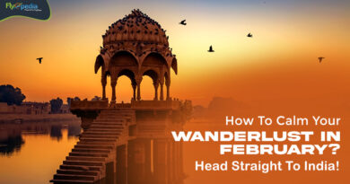 How To Calm Your Wanderlust In February Head Straight To India!