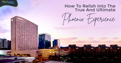How To Relish Into The True And Ultimate Phoenix Experience