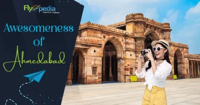 Awesomeness Of Ahmedabad
