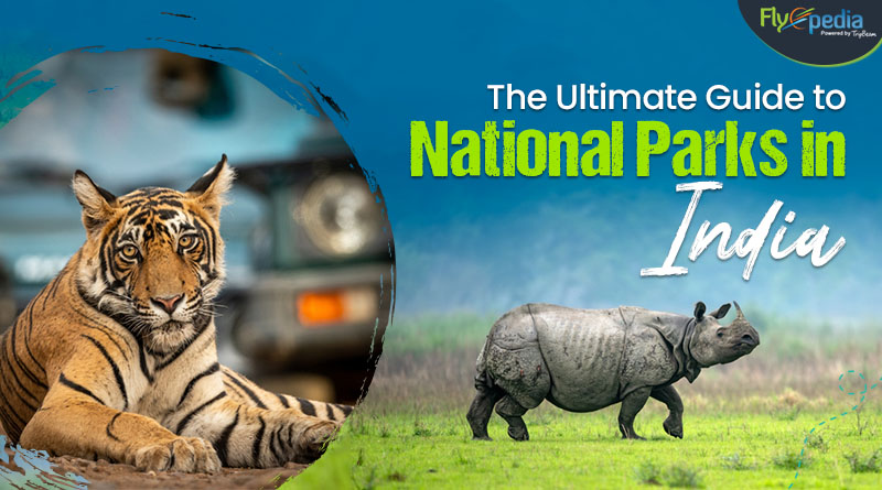 The Ultimate Guide to National Parks in India