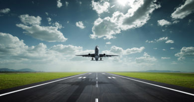 flight