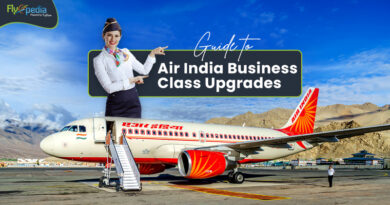 A Guide to Air India Business Class Upgrades