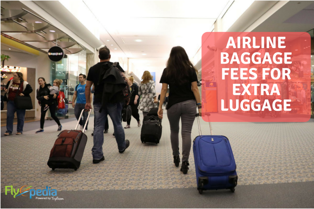Airline Baggage Fees For Extra Luggage