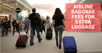 Airline Baggage Fees For Extra Luggage