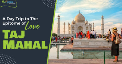 A Day Trip to The Epitome of Love Taj Mahal