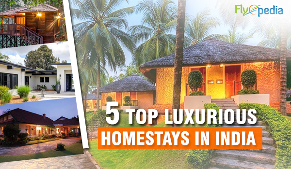 cheap last minute flights to India