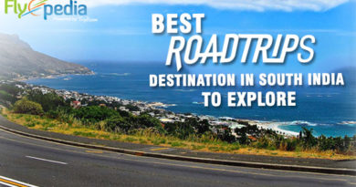 Best Road Trips Destination in South India to Explore | flights to India
