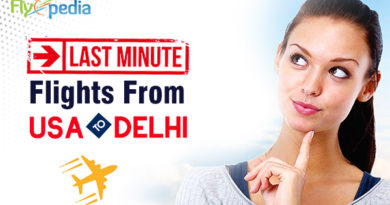cheap last minute flights to Delhi from USA