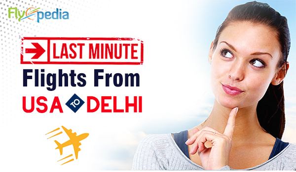 flight travel agency in delhi