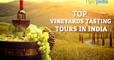 5 Vineyards in India for Wine Lovers