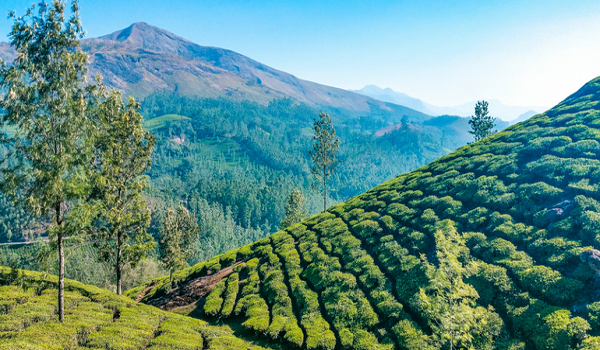 top romantic destination