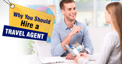 Why You Should Hire a Travel Agent
