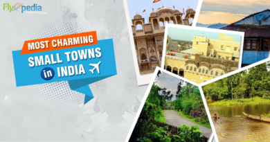 USA to India flights