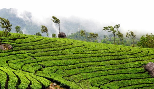 best tourist places in Kerala