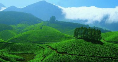 top hill station spots in India