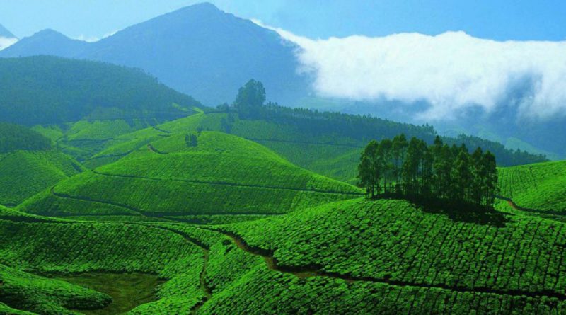 top hill station spots in India