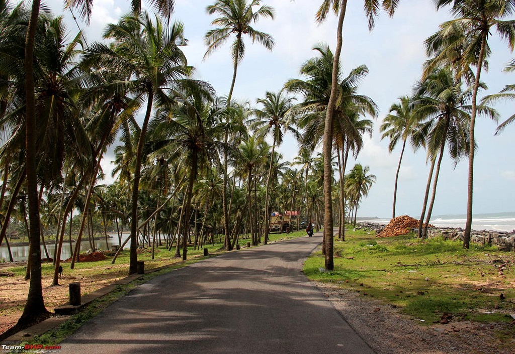 Coconut Island - Indian Geo-Sites to Satisfy Travel-Appetites