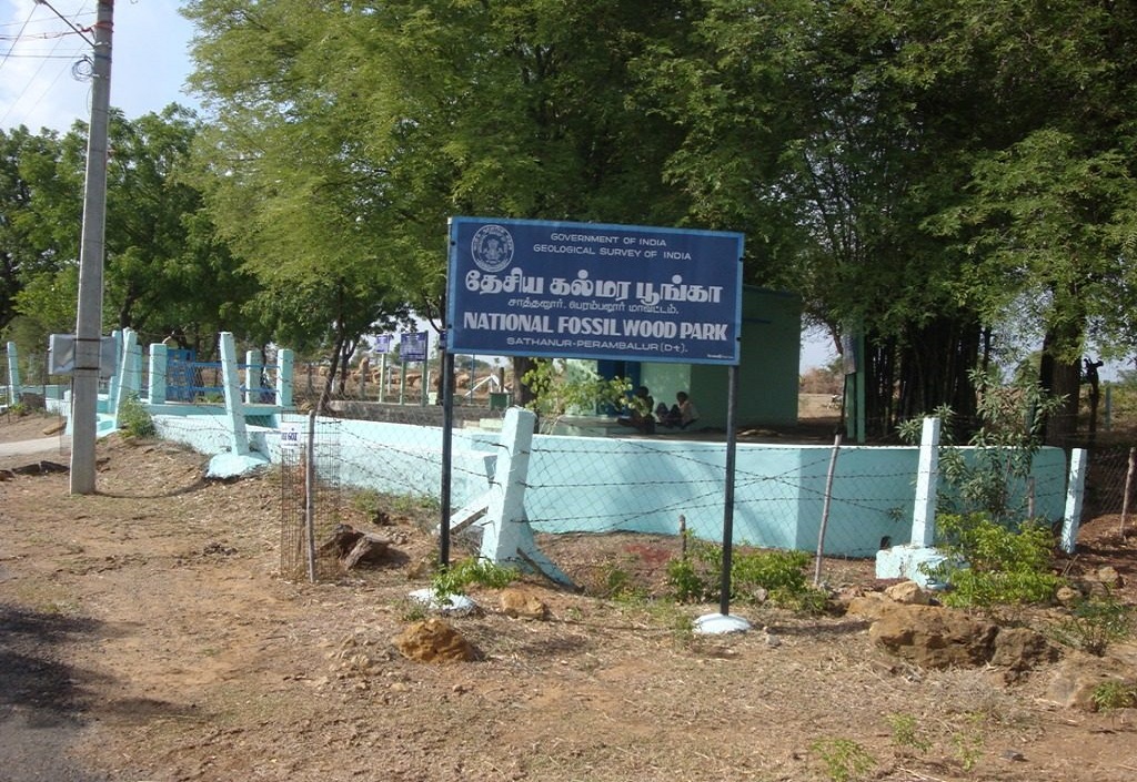 National Fossil Wood Park - Indian Geo-Sites to Satisfy Travel-Appetites