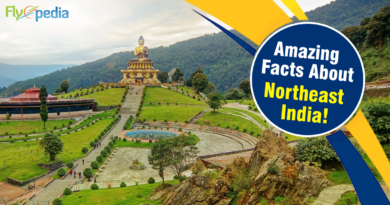 cheap flights from Los Angeles to India