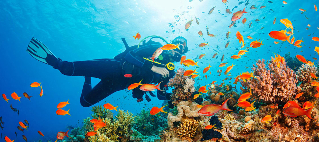 Scuba Diving – Andaman Islands Scuba Diving – Andaman Islands