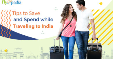 Tips to Save and Spend while Traveling to India