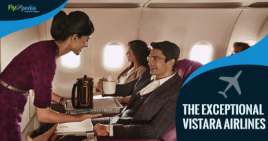 What makes Vistara Airlines Travel Stand Out?