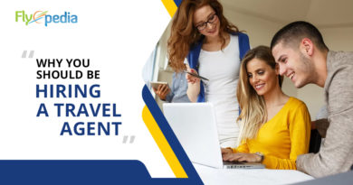 Why You Should Be Hiring a Travel Agent