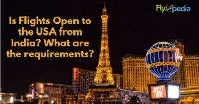 Is Flights Open to the USA from India What are the requirements