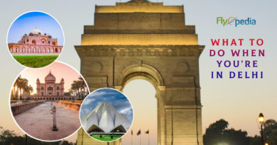 What To Do When You're In Delhi
