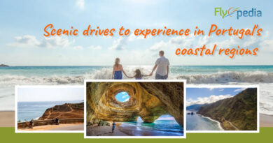 Scenic drives to experience in Portugal's coastal regions