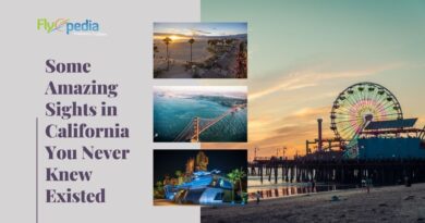 Some Amazing Sights in California You Never Knew Existed