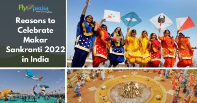 Reasons to Celebrate Makar Sankranti 2022 in India