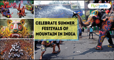 Celebrate Summer Festivals of Mountains in India