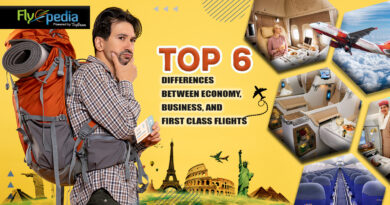Top 6 Differences Between Economy, Business, and First Class Flights
