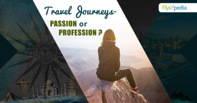 Travel Journeys - Passion or Profession