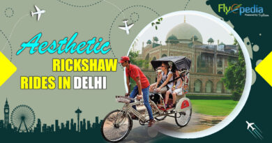 Aesthetic Rickshaw Rides in Delhi