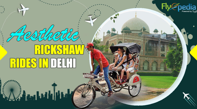 Aesthetic Rickshaw Rides in Delhi