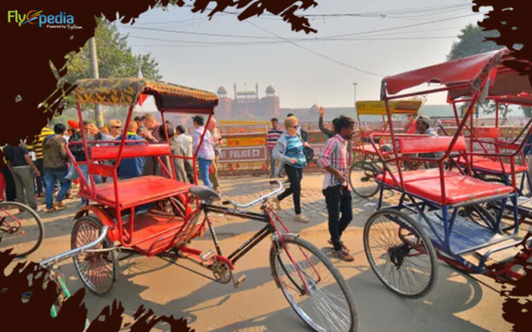 Aesthetic Rickshaw Rides in Delhi | Flyopedia