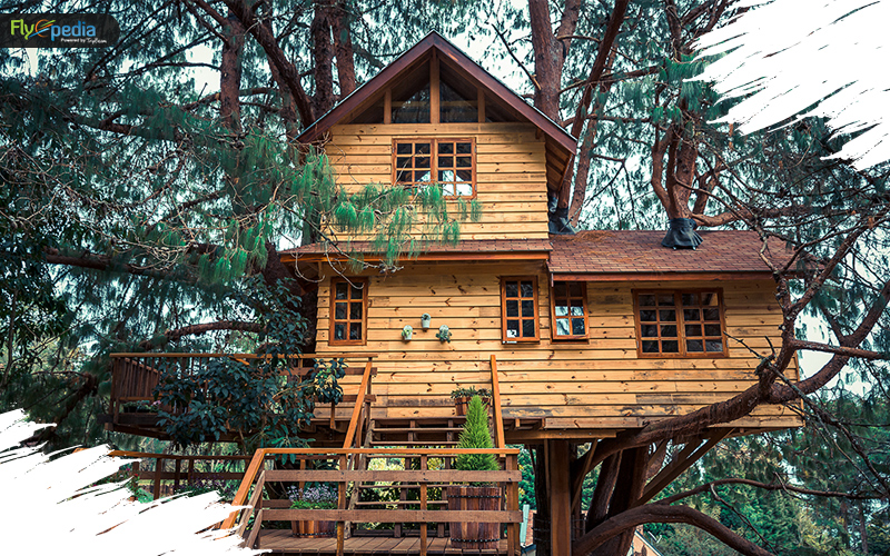 TreeHouse Cottages