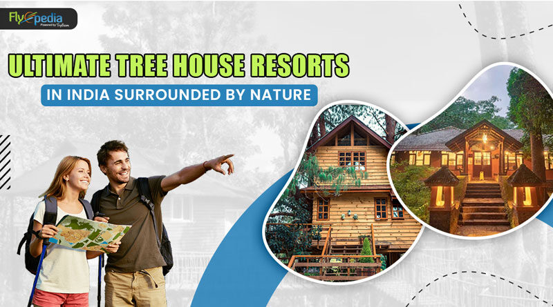 Ultimate Tree House Resorts in India Surrounded by Nature