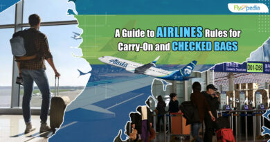 A Guide to Airlines Rules for Carry-On and Checked Bags