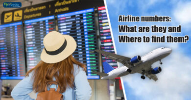 Airline-numbers-What-are-they-and-Where-to-find-them